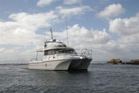 Bonnet Island Experience Departing From Strahan - South Australia Travel 1