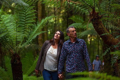West Coast Wilderness Railway: River And Rainforest From Strahan - South Australia Travel 1
