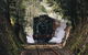 West Coast Wilderness Railway: River And Rainforest From Strahan - thumb 0