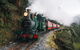 West Coast Wilderness Railway: River And Rainforest From Strahan - thumb 6