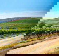 Full Day Tamar Valley Wine Tour - South Australia Travel