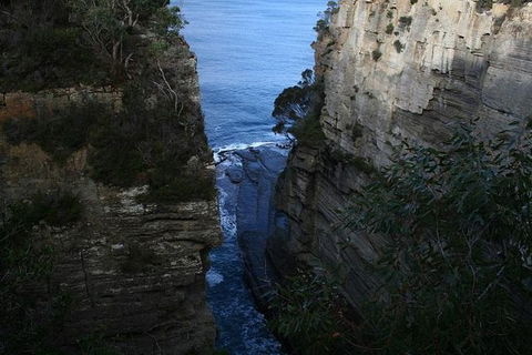 Cruise Ship Special From Port Arthur: Explore Tasman Peninsula With Free WiFi - South Australia Travel 1