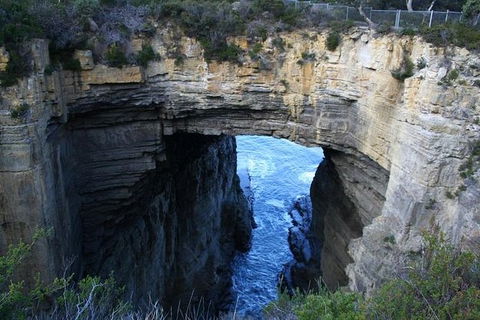Cruise Ship Special From Port Arthur: Explore Tasman Peninsula With Free WiFi - South Australia Travel 0