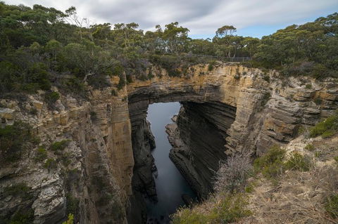 Cruise Ship Special From Port Arthur: Explore Tasman Peninsula With Free WiFi - South Australia Travel 2
