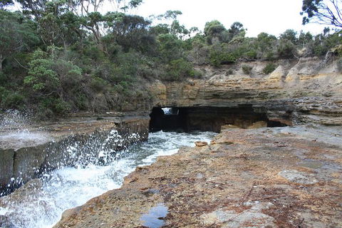 Cruise Ship Special From Port Arthur: Explore Tasman Peninsula With Free WiFi - South Australia Travel 7