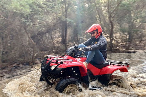 Half-Day Guided ATV Exploration Tour From Coles Bay - South Australia Travel 7