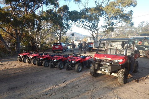 Half-Day Guided ATV Exploration Tour From Coles Bay - South Australia Travel 4