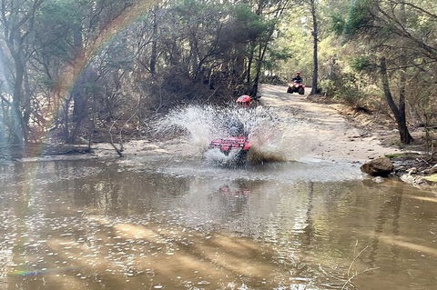 Half-Day Guided ATV Exploration Tour From Coles Bay - South Australia Travel 3