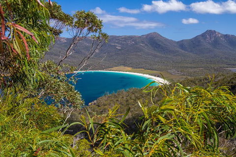 4x4 And Lunch Full Day Freycinet And Wineglass Bay - South Australia Travel 1