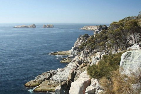 Great Walks Of Australia: 4-Day Freycinet Experience Walk - South Australia Travel 10