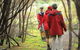 Great Walks Of Australia: 4-Day Freycinet Experience Walk - thumb 7