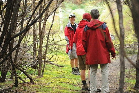 Great Walks Of Australia: 4-Day Freycinet Experience Walk - South Australia Travel 7