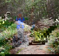 Hollybank Wilderness Adventures - Segway Tour - South Australia Travel