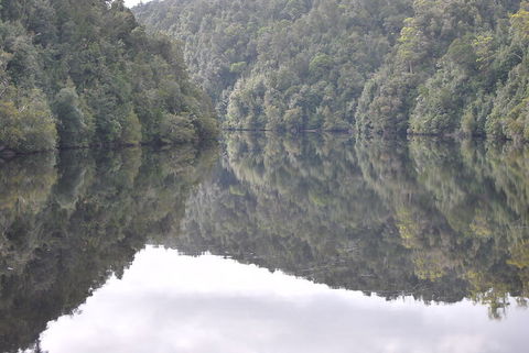 Gordon River Cruise Departing From Strahan - South Australia Travel 17