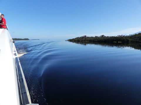 Gordon River Cruise Departing From Strahan - South Australia Travel 3
