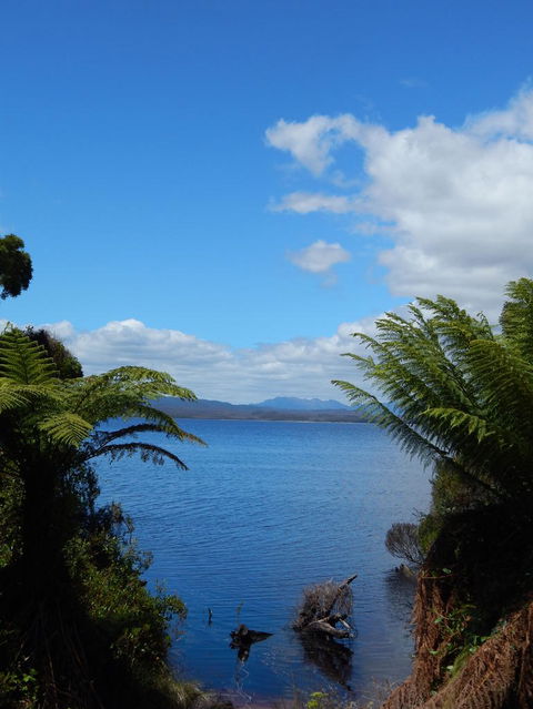 Gordon River Cruise Departing From Strahan - South Australia Travel 20