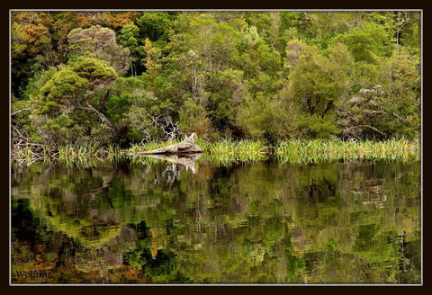Gordon River Cruise Departing From Strahan - South Australia Travel 12