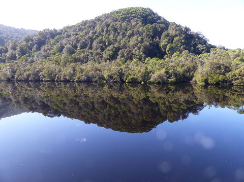 Gordon River Cruise Departing From Strahan - South Australia Travel 4