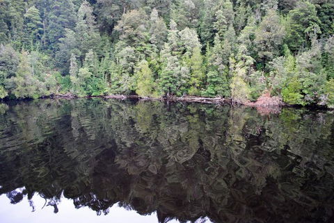 Gordon River Cruise Departing From Strahan - South Australia Travel 24