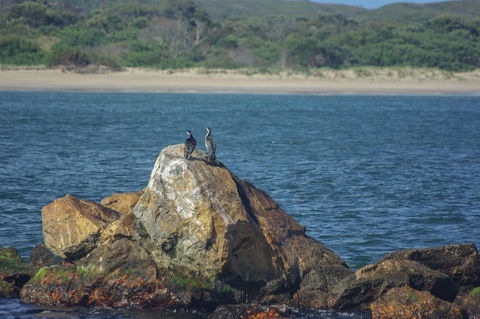 Gordon River Cruise Departing From Strahan - South Australia Travel 11