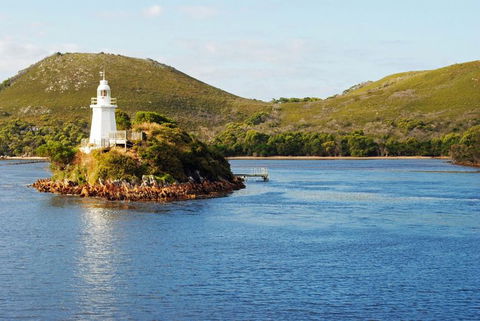 Gordon River Cruise Departing From Strahan - South Australia Travel 25