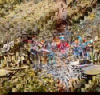 Hollybank Wilderness Adventure - Zipline Tours - South Australia Travel