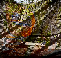 Blue Derby Pods Ride Experience 3-Day Mountain Bike Adventure in Exclusive Pods - South Australia Travel