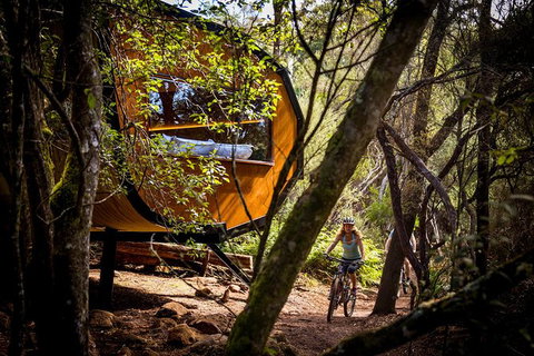 Blue Derby Pods Ride Experience 3-Day Mountain Bike Adventure In Exclusive Pods - South Australia Travel 0