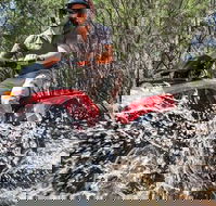 Quad Bike 2-Hour Adventure Freycinet National Park - South Australia Travel