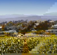 Josef Chromy Wines Winery Tour Including Tasting and Lunch - South Australia Travel