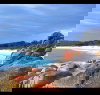 Bay of Fires Day Trip from Launceston - South Australia Travel