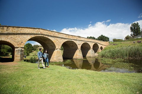 3 Of Hobart's Best Experiences In One Day - Mt Wellington, Richmond And Bonorong - South Australia Travel 1