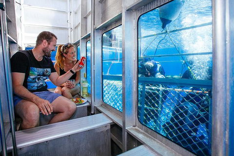 White Shark Tour With Optional Cage Dive From Port Lincoln - South Australia Travel 4