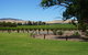 Barossa Valley With Hahndorf Tour From Adelaide - thumb 3