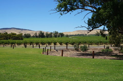 Barossa Valley With Hahndorf Tour From Adelaide - South Australia Travel 3