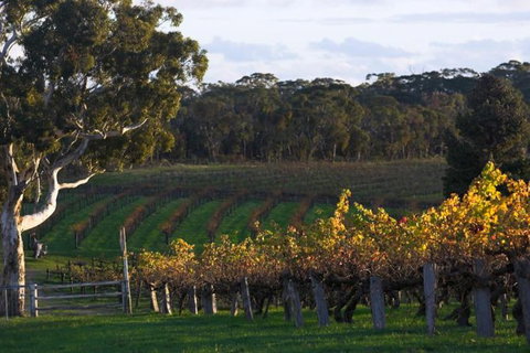 Barossa Valley With Hahndorf Tour From Adelaide - South Australia Travel 0