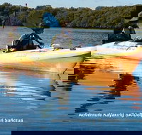 Adelaide Dolphin Sanctuary and Ships Graveyard Kayak Tour - South Australia Travel