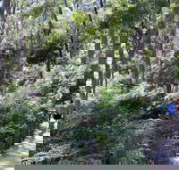 Self-Guided Waterfall Gully to Mount Lofty Hike from Adelaide - South Australia Travel