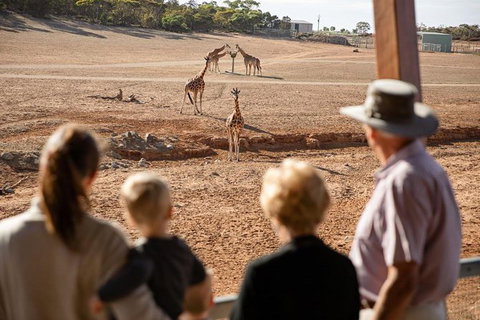 Monarto Safari Park General Admission Ticket - South Australia Travel 0