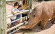 Monarto Safari Park General Admission Ticket - thumb 1