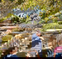 Adelaide Zoo Behind the Scenes Experience Panda and Friends Tour - South Australia Travel