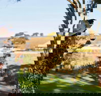 Micro-Group McLaren Vale Wine Tour from Adelaide - South Australia Travel