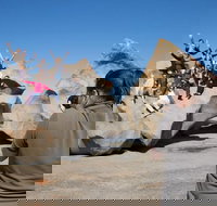 2-Day Kangaroo Island Adventure Tour from Adelaide - South Australia Travel