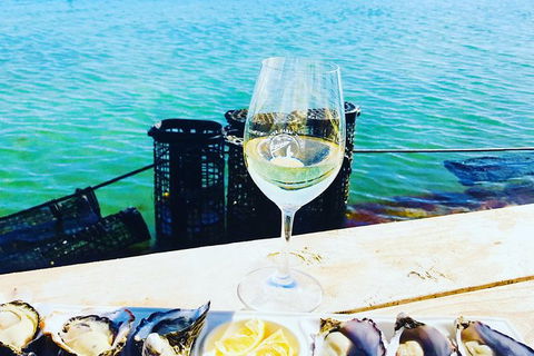 Coffin Bay Oyster Farm & Tasting Tour - South Australia Travel 11