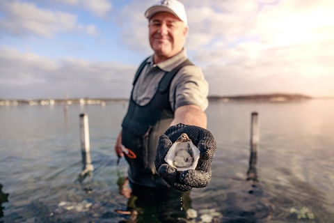 Coffin Bay Oyster Farm & Tasting Tour - South Australia Travel 3