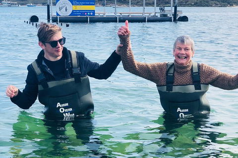 Coffin Bay Oyster Farm & Tasting Tour - South Australia Travel 12
