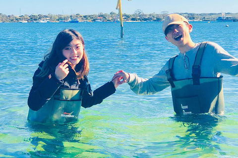 Coffin Bay Oyster Farm & Tasting Tour - South Australia Travel 4
