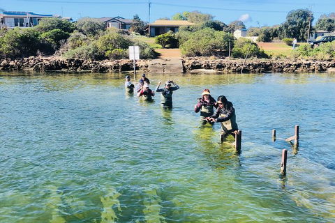 Coffin Bay Oyster Farm & Tasting Tour - South Australia Travel 6