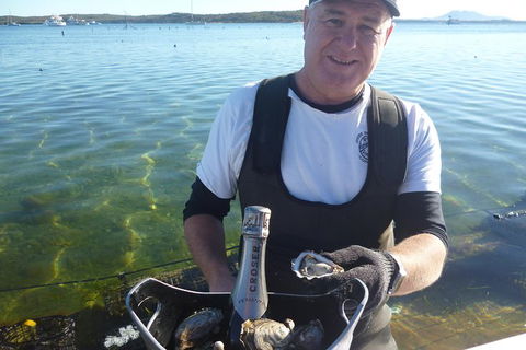 Coffin Bay Oyster Farm & Tasting Tour - South Australia Travel 2