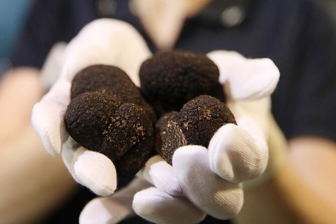 Adelaide Central Market Exclusive Tour - South Australia Travel 9